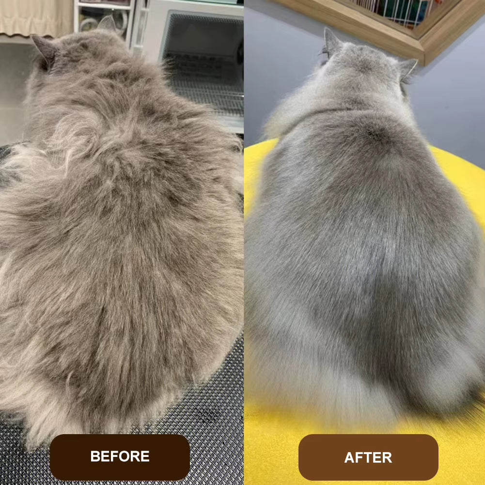 3 in 1 Cat Steam Brush Cat Grooming Brush Pet Hair Removal Comb for Removing Tangled and Loosse Hair