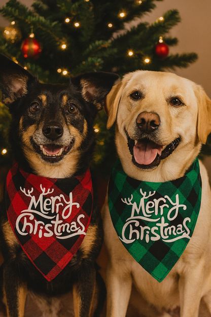 2 Pack Christmas Buffalo Plaid Dog Bandanas